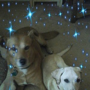 Meet your Posher, Charlotte